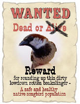 Reward poster for Sparrows